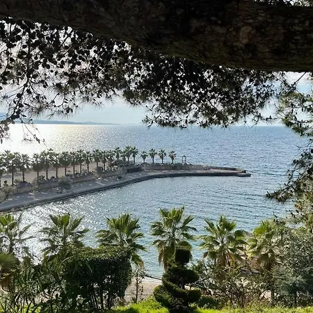 White - Sarandë